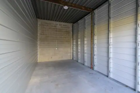Storage Lion photo 2