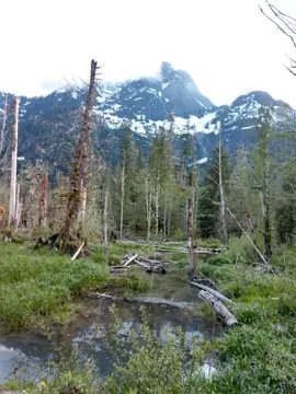 Granite Falls Heated & RV in Granite Falls, WA