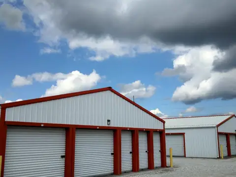 Storage Lion photo 3