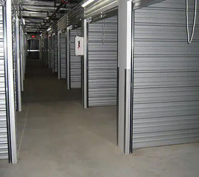 Daffodil Storage photo 2