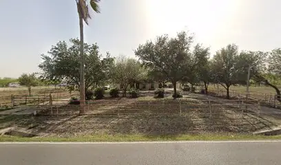Pena RV & Boat Storage of Mission in Mission, TX