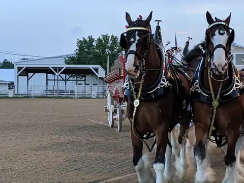 Hancock County Fairgrounds in Findlay, OH