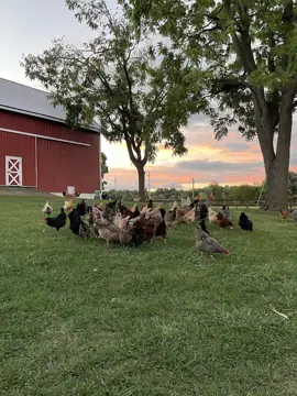 Miami Acres in South Bend, IN
