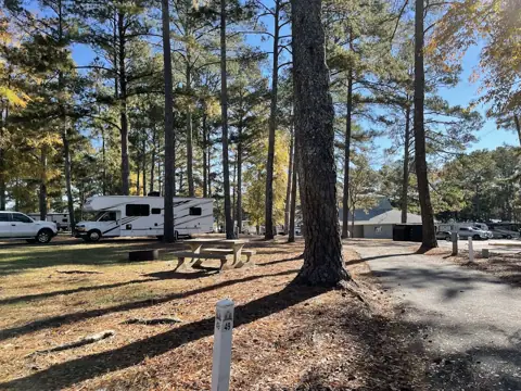 Allatoona Landing Marine Resort in Cartersville, GA