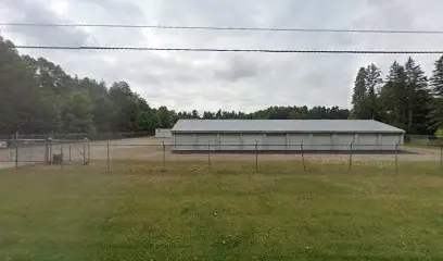 C&D Self Storage2 in Howard City, MI