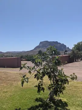Box 8 Ranch in Superior, AZ