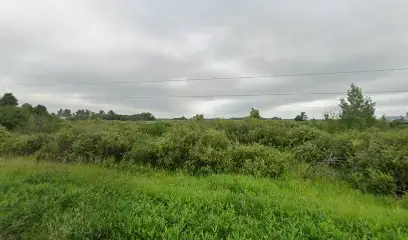 Ray's Barn llc. in Perham, MN